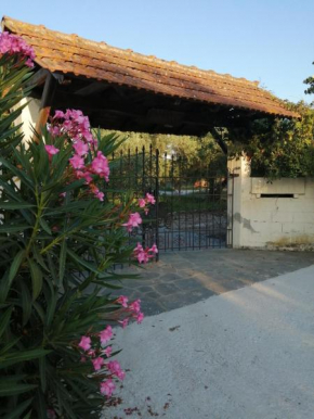 Xaroula Appartment